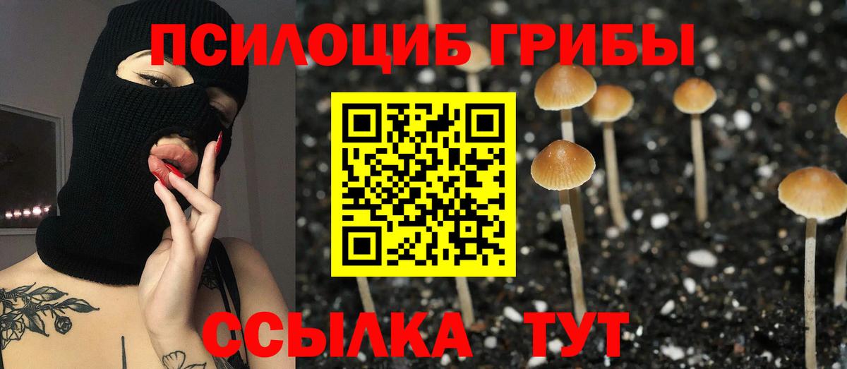 Псилоцибиновые грибы Psilocybe  Псилоцибиновые грибы мицелий  Вход с VPN  Самара 